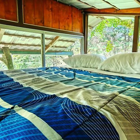 Cabana Treehouse Mountain View San Isidro  Eksteriør bilde